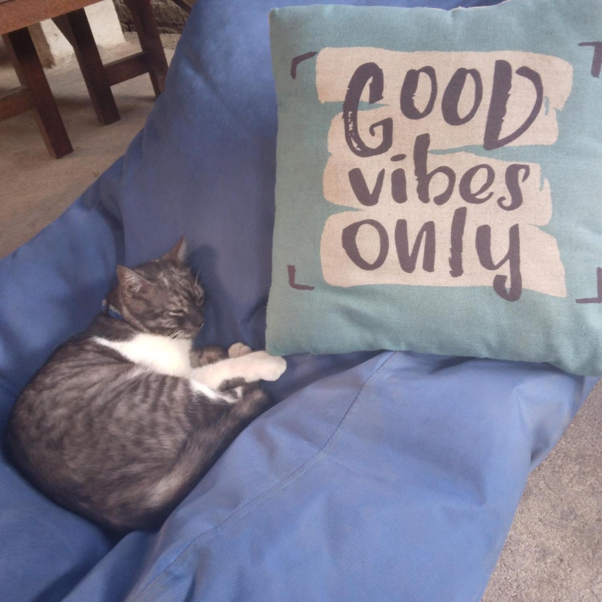 Good Vibes Bungalows غيلي تراوانغان المظهر الخارجي الصورة